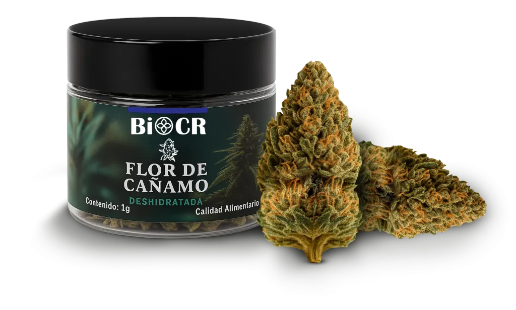 BioCR Flor de Cañamo Deshidratada 1g