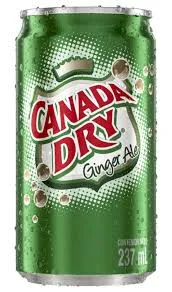 Canada Dry Ginger Ale 237ml