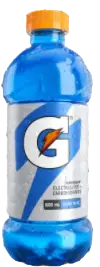 Gatorade Berry Blue 600mL