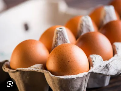 Huevos 8u