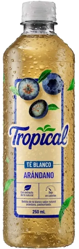 [500.00] Tropical Té Blanco Arándano 250ml