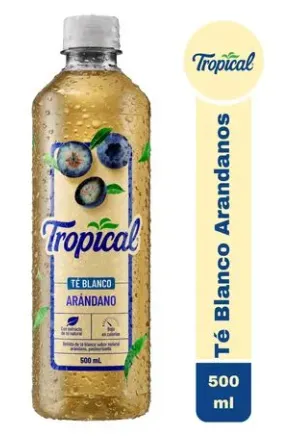Tropical Té Blanco Arándano 500ml