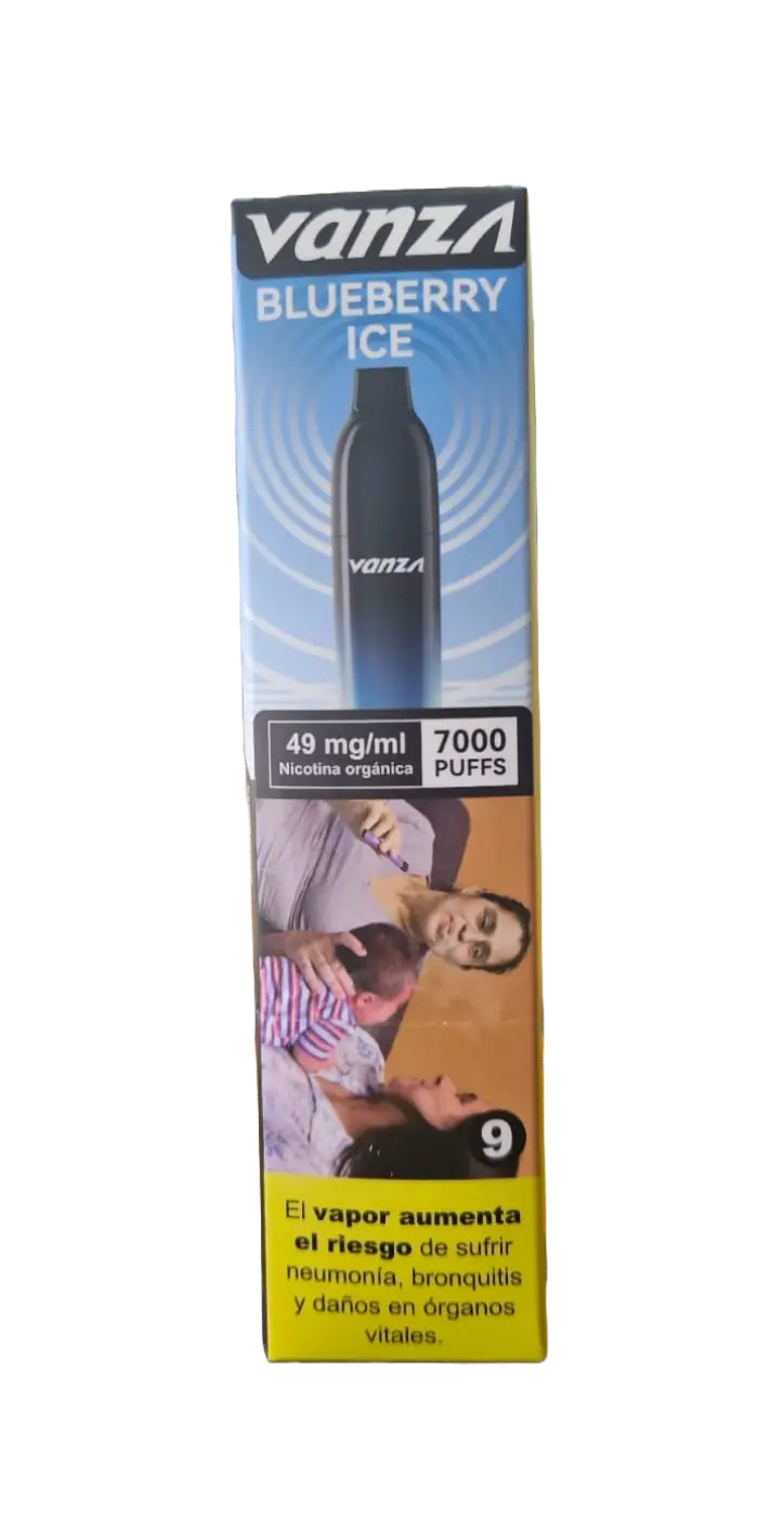 Vanza Blueberry Mint 7000 puffs