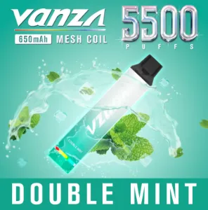 Vanza Double Mint 5500 puffs