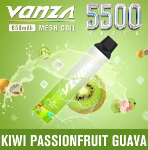 Vanza Kiwi Passion Fruit 5500 puffs