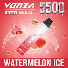 Vanza Watermelon Ice 5500 puffs